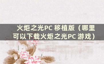 火炬之光PC 移植版（哪里可以下载火炬之光PC 游戏）